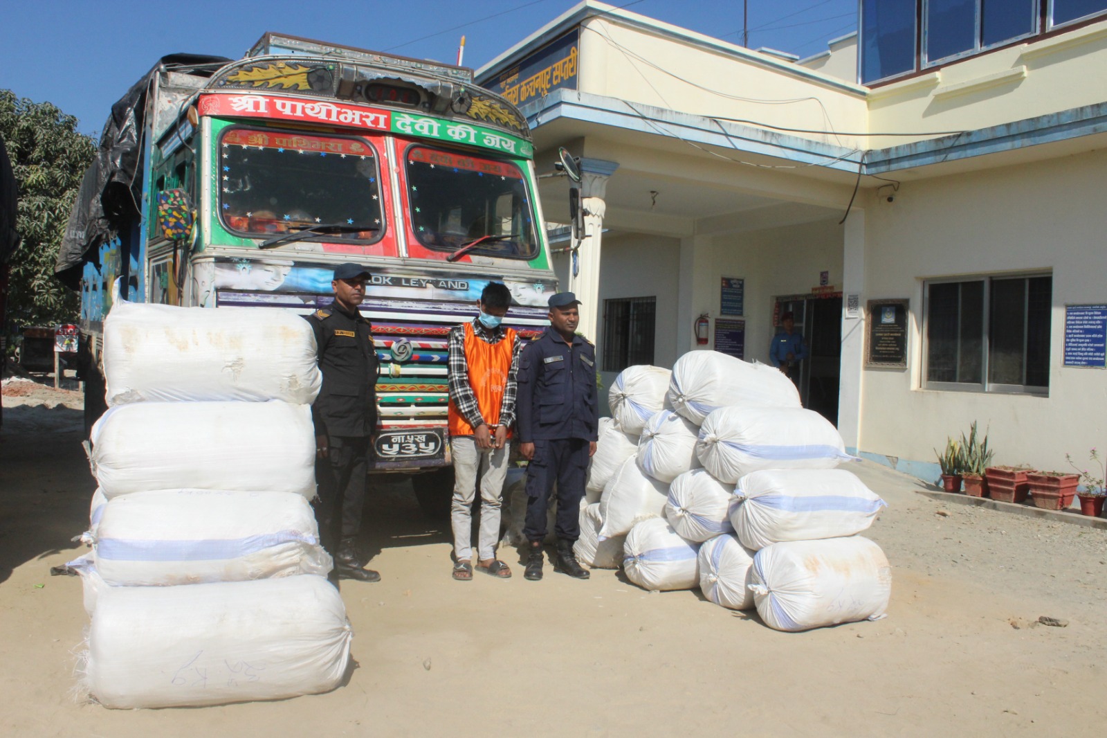 ईलाका प्रहरी कार्यालय कञ्चनपुरको अहिलेसम्मकै ठुलो सफलता, १० क्विन्टल लागूऔषध गाँजा सहित चालक  पक्राउ   